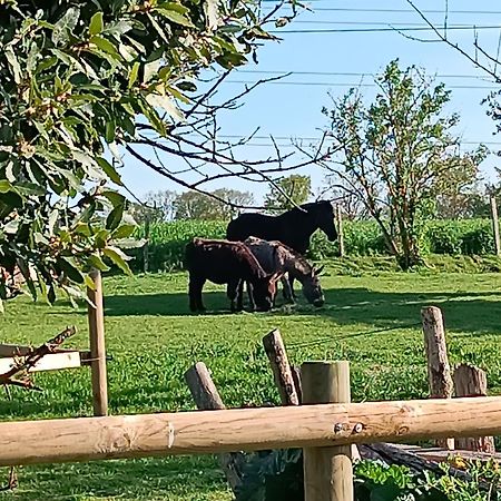 Domaine De Karoli Ξενοδοχείο Barneville-sur-Seine Εξωτερικό φωτογραφία